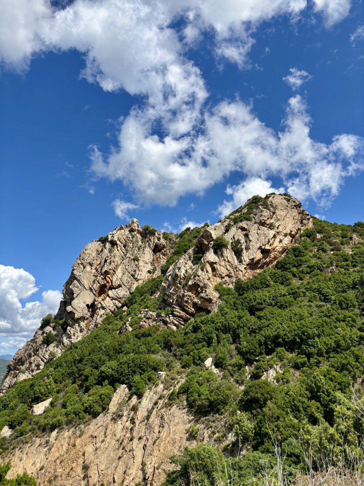 Roadtrip Sardinien: Rundwanderung am Monte Nieddu