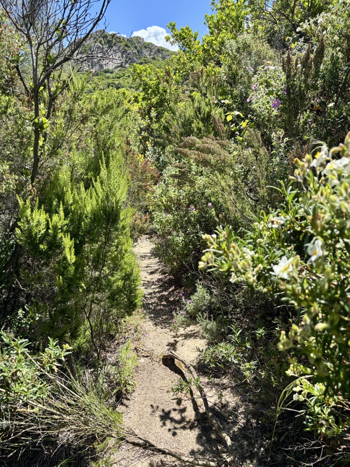 Roadtrip Sardinien: Rundwanderung am Monte Nieddu