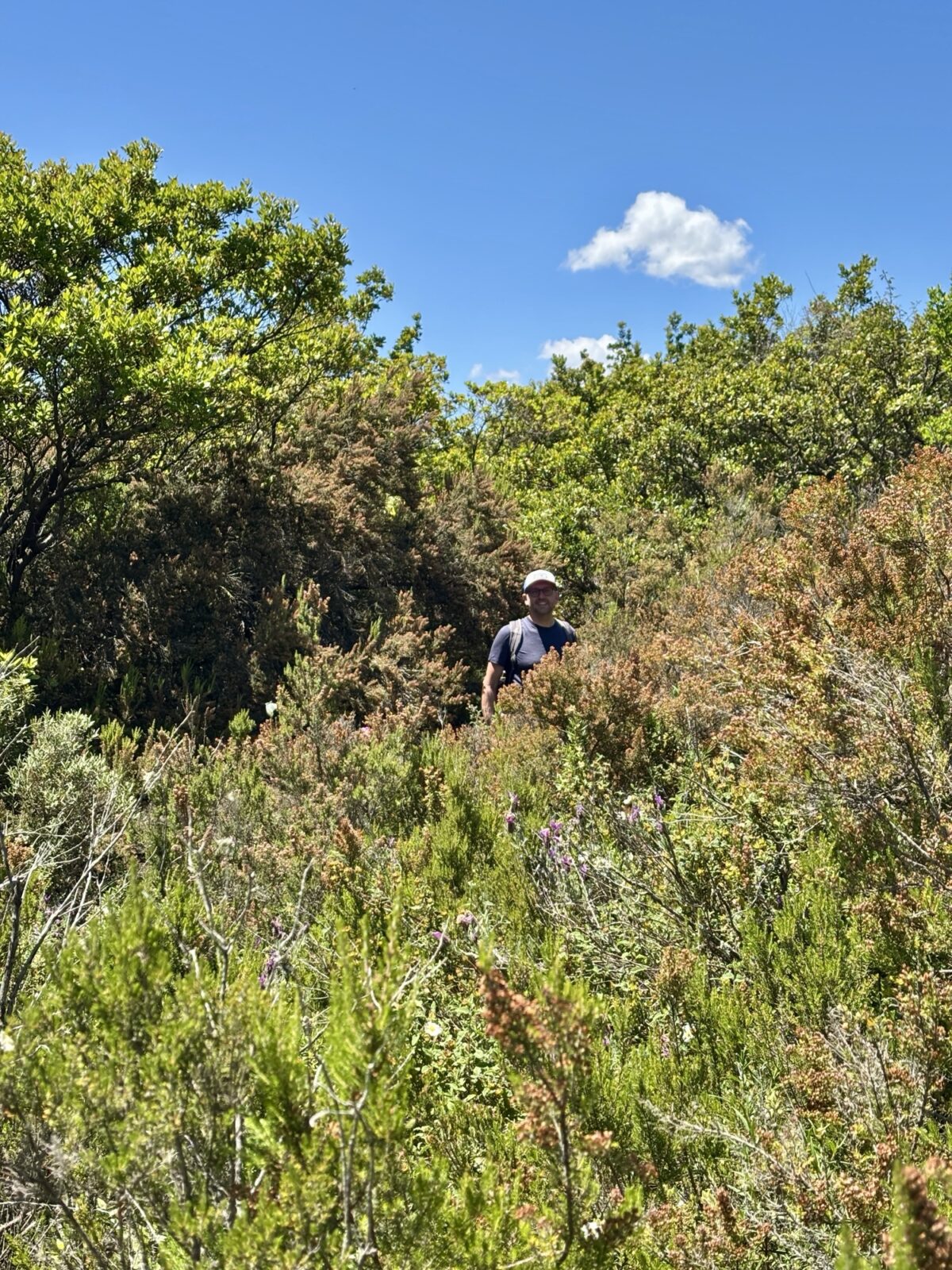 Roadtrip Sardinien: Rundwanderung am Monte Nieddu