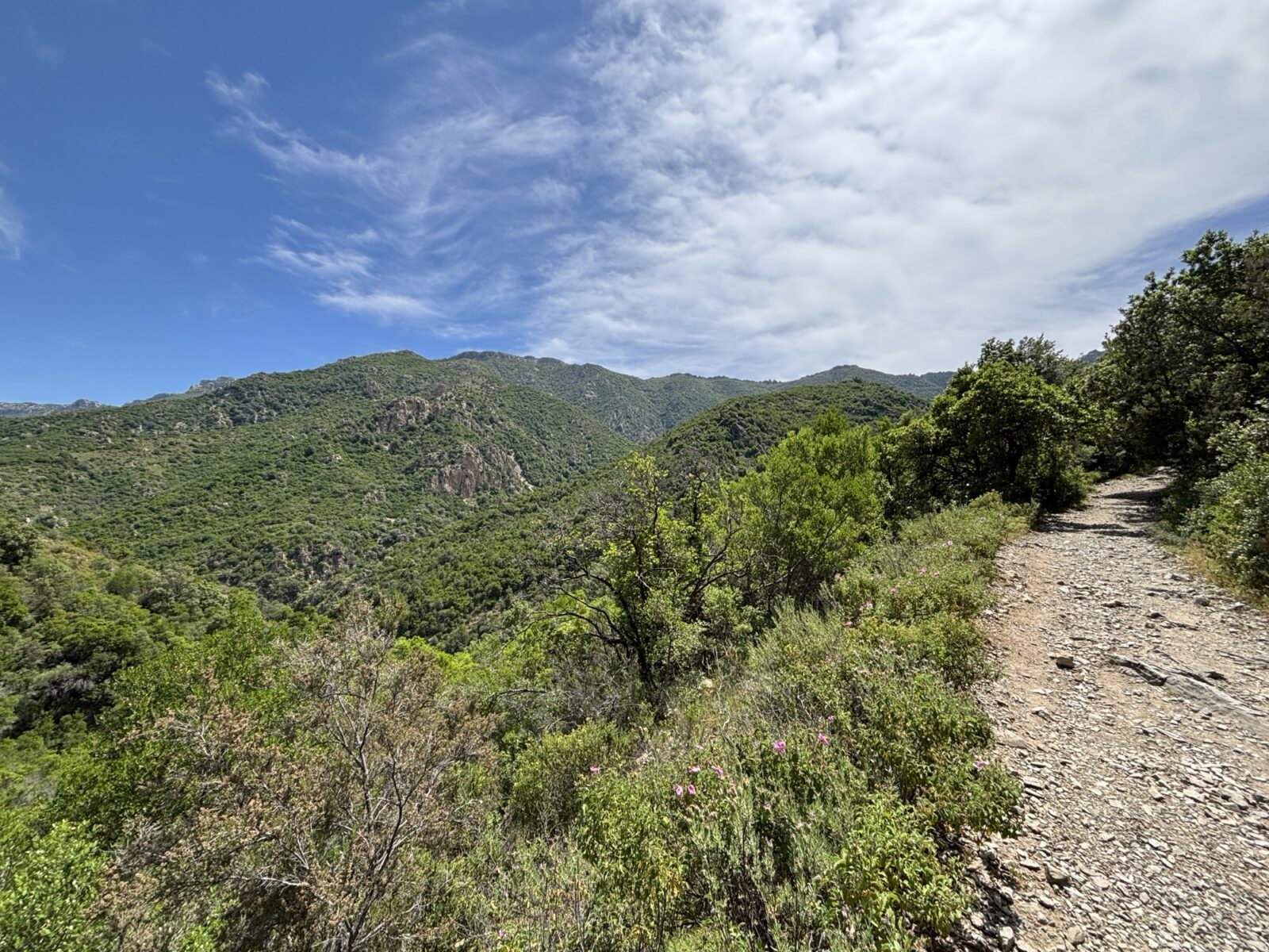 Roadtrip Sardinien: Wanderung zum Gorropu Canyon