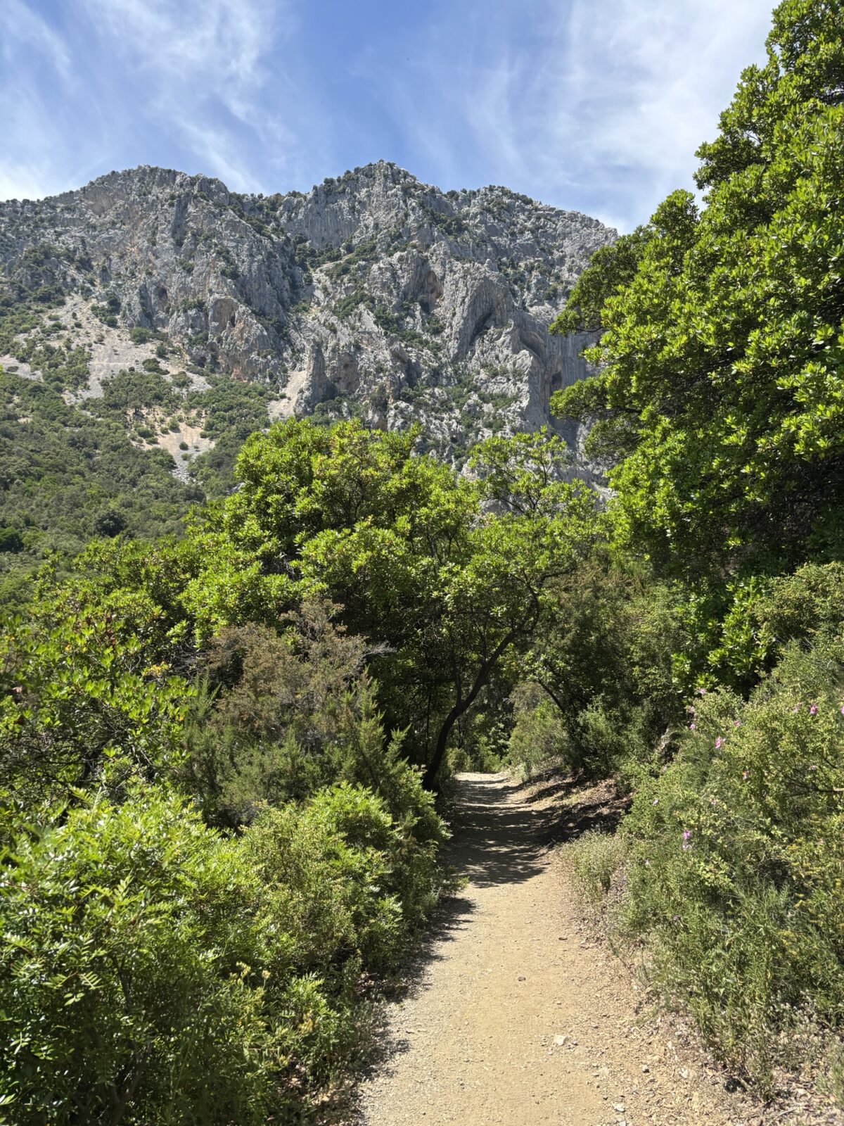 Roadtrip Sardinien: Wanderung zum Gorropu Canyon