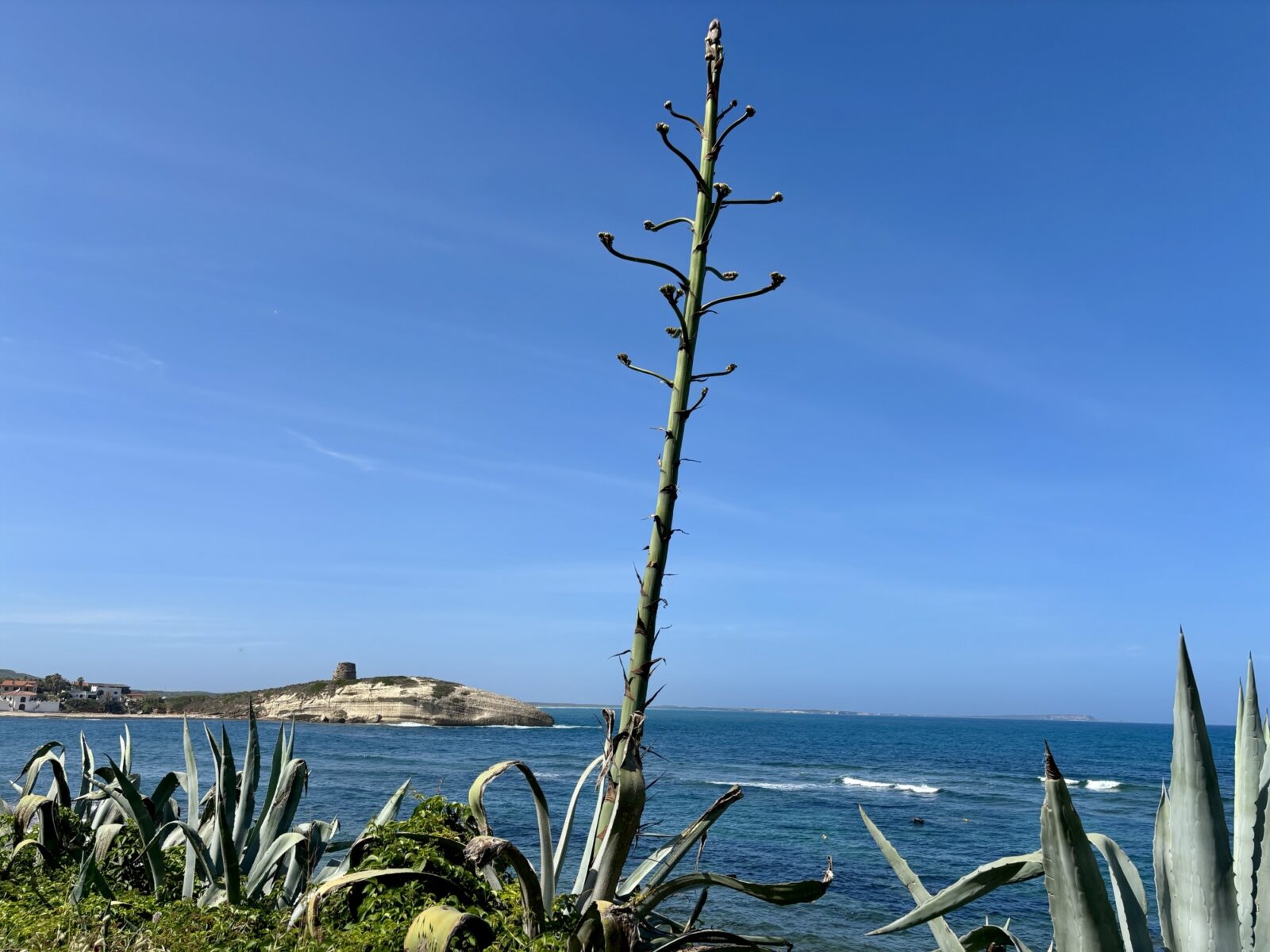 Roadtrip Sardinien: S´Archittu