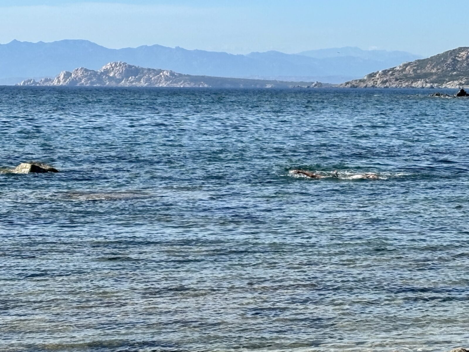 Roadtrip Sardinien: Cala Pischina