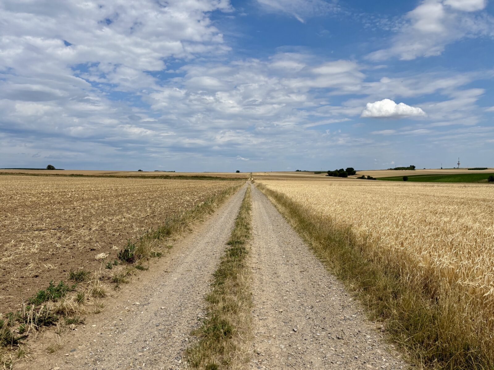 Wandern in Rheinhessen: Von Großwinternheim übers Sauerbachtal nach Schwabenheim
