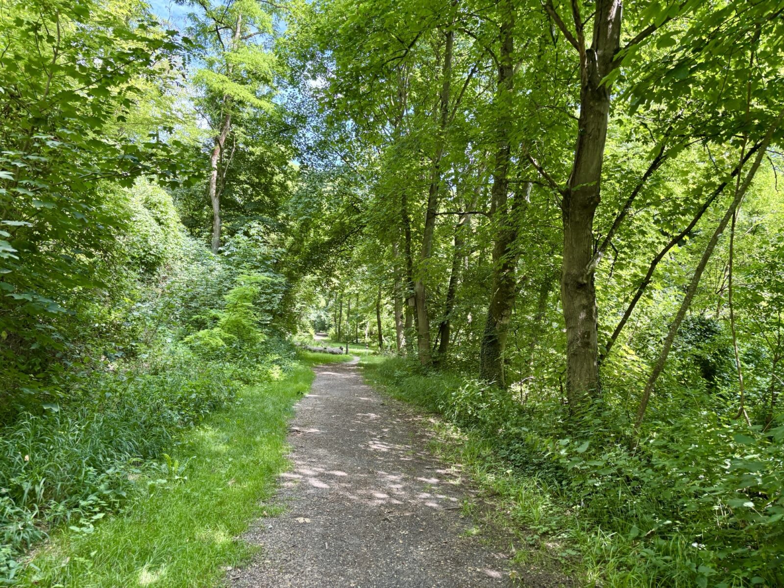 Wandern in Rheinhessen: Von Großwinternheim übers Sauerbachtal nach Schwabenheim