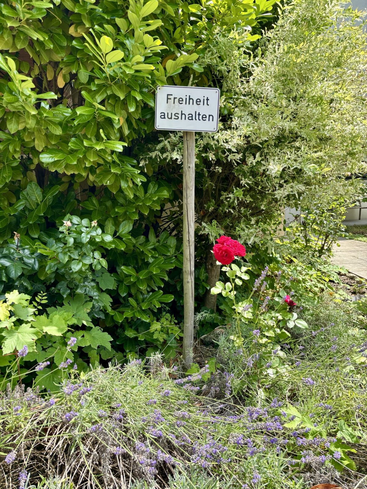 Wandern in Rheinhessen: Von Großwinternheim übers Sauerbachtal nach Schwabenheim