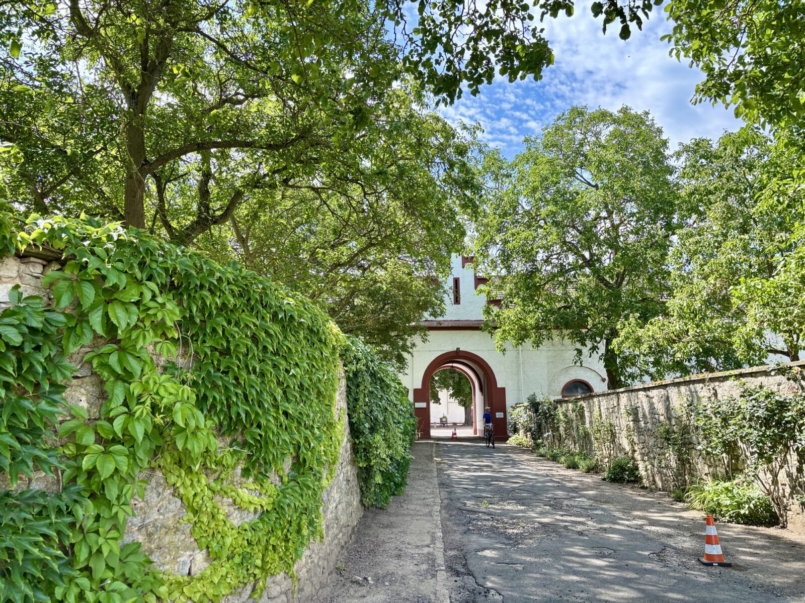 Wandern in Rheinhessen: Von Großwinternheim übers Sauerbachtal nach Schwabenheim