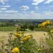 Wandern in Rheinhessen: Von Großwinternheim übers Sauerbachtal nach Schwabenheim