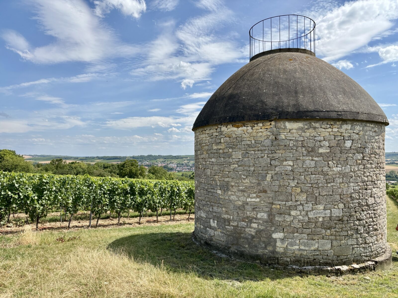 Wandern in Rheinhessen: Von Großwinternheim übers Sauerbachtal nach Schwabenheim