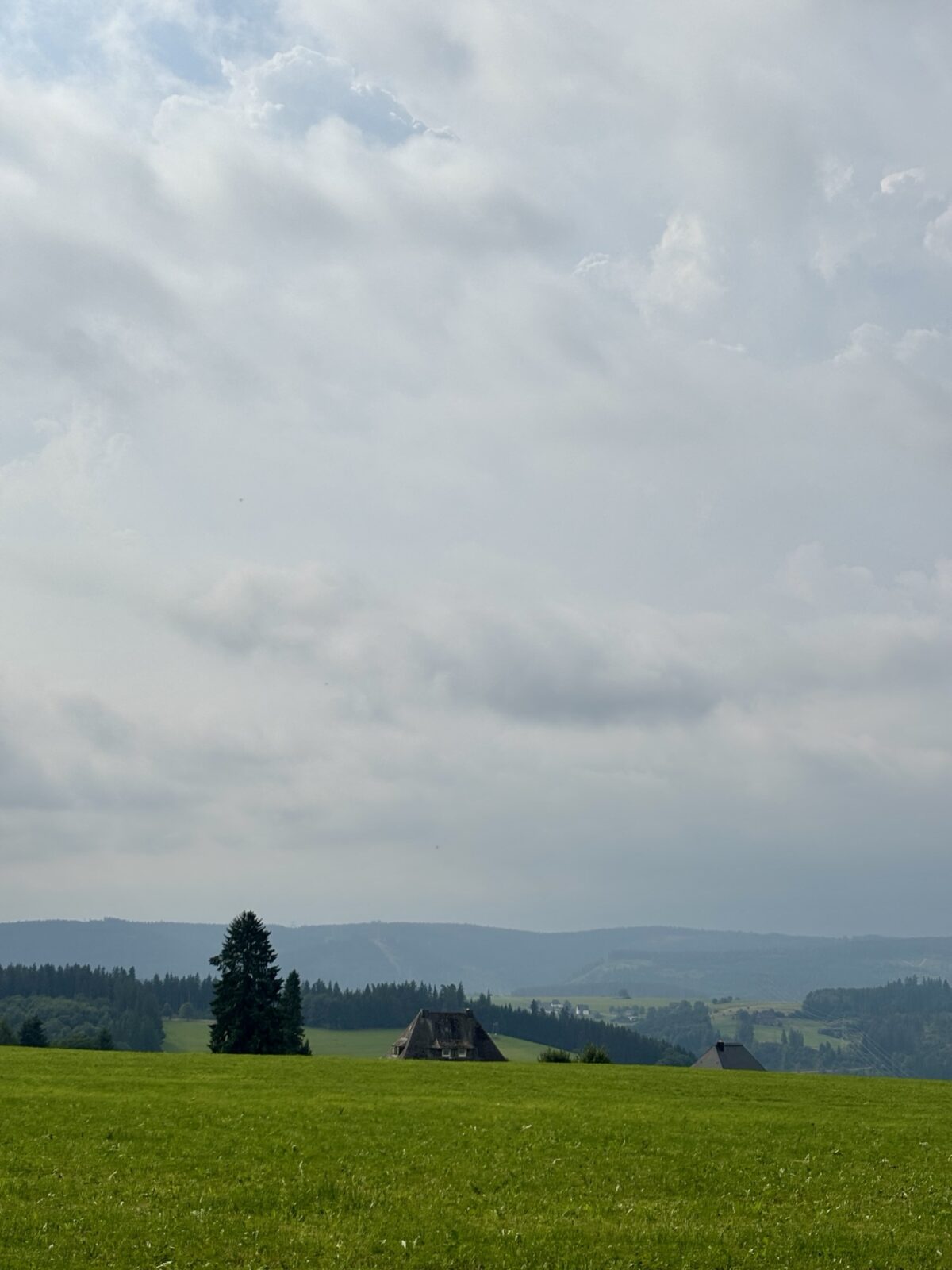 Wandern im Schwarzwald: Vom Titisee auf den Hochfirst