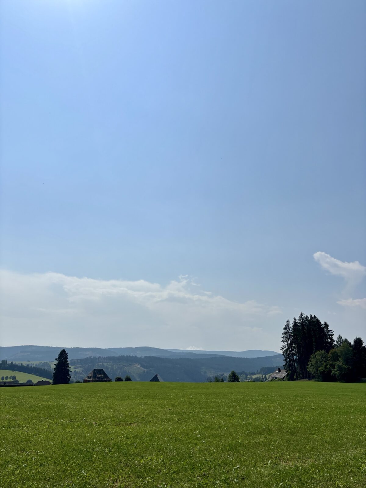 Wandern im Schwarzwald: Vom Titisee auf den Hochfirst