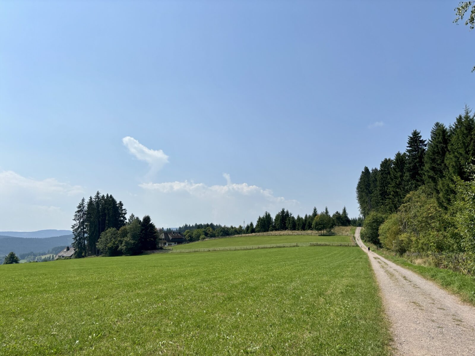 Wandern im Schwarzwald: Vom Titisee auf den Hochfirst