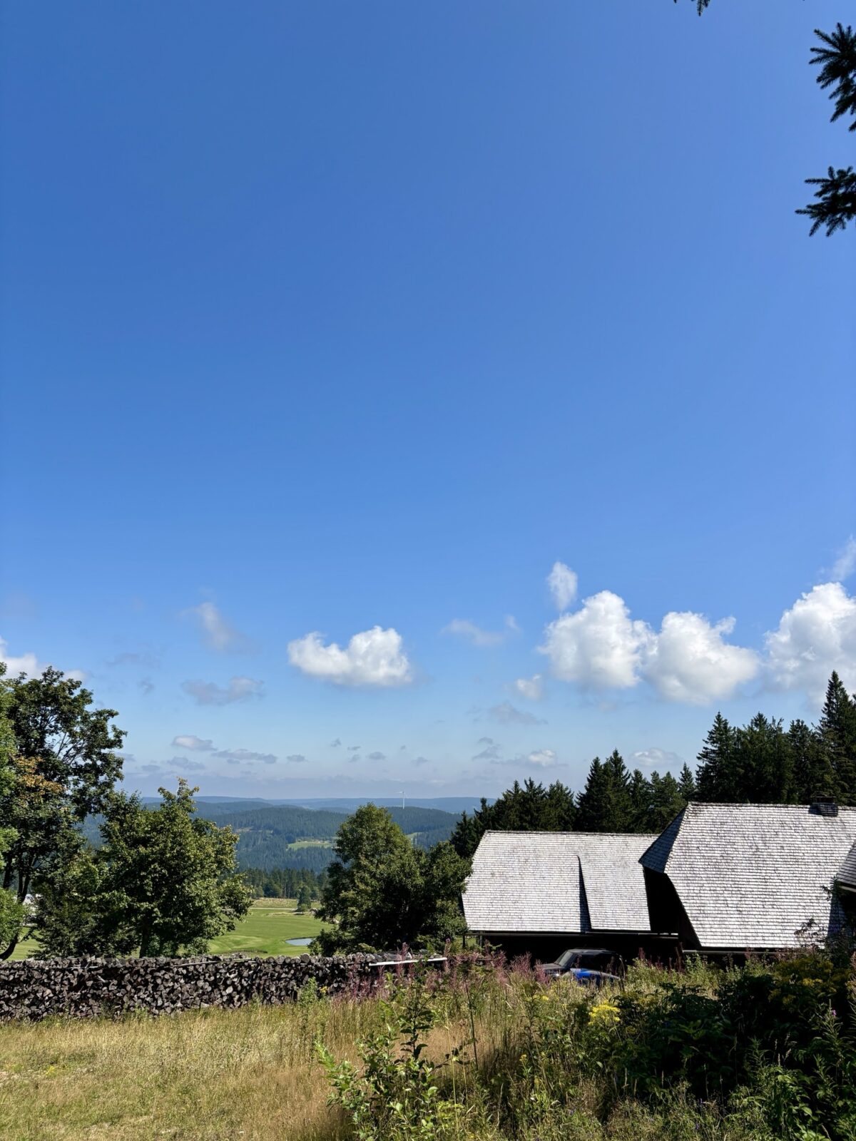 Wandern im Schwarzwald: U(h)rwaldpfad Rohrhardsberg