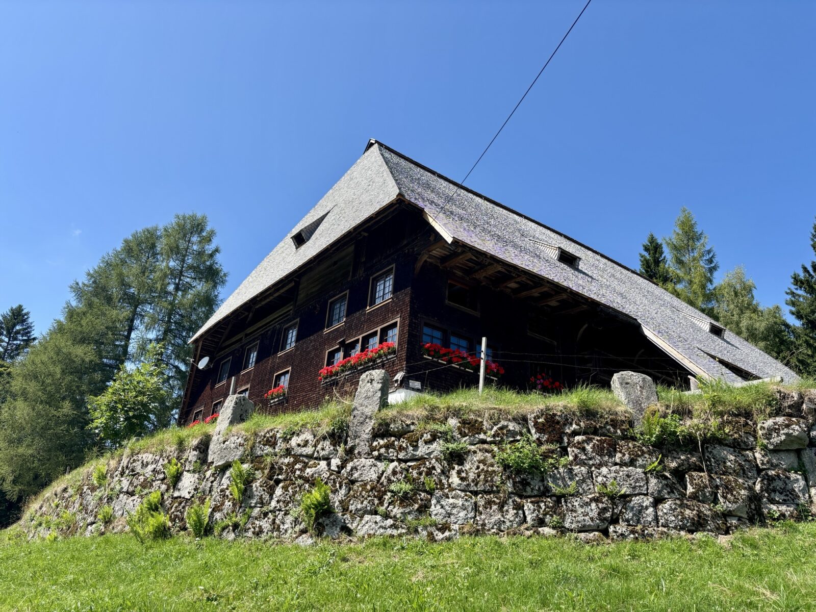 Wandern im Schwarzwald: U(h)rwaldpfad Rohrhardsberg