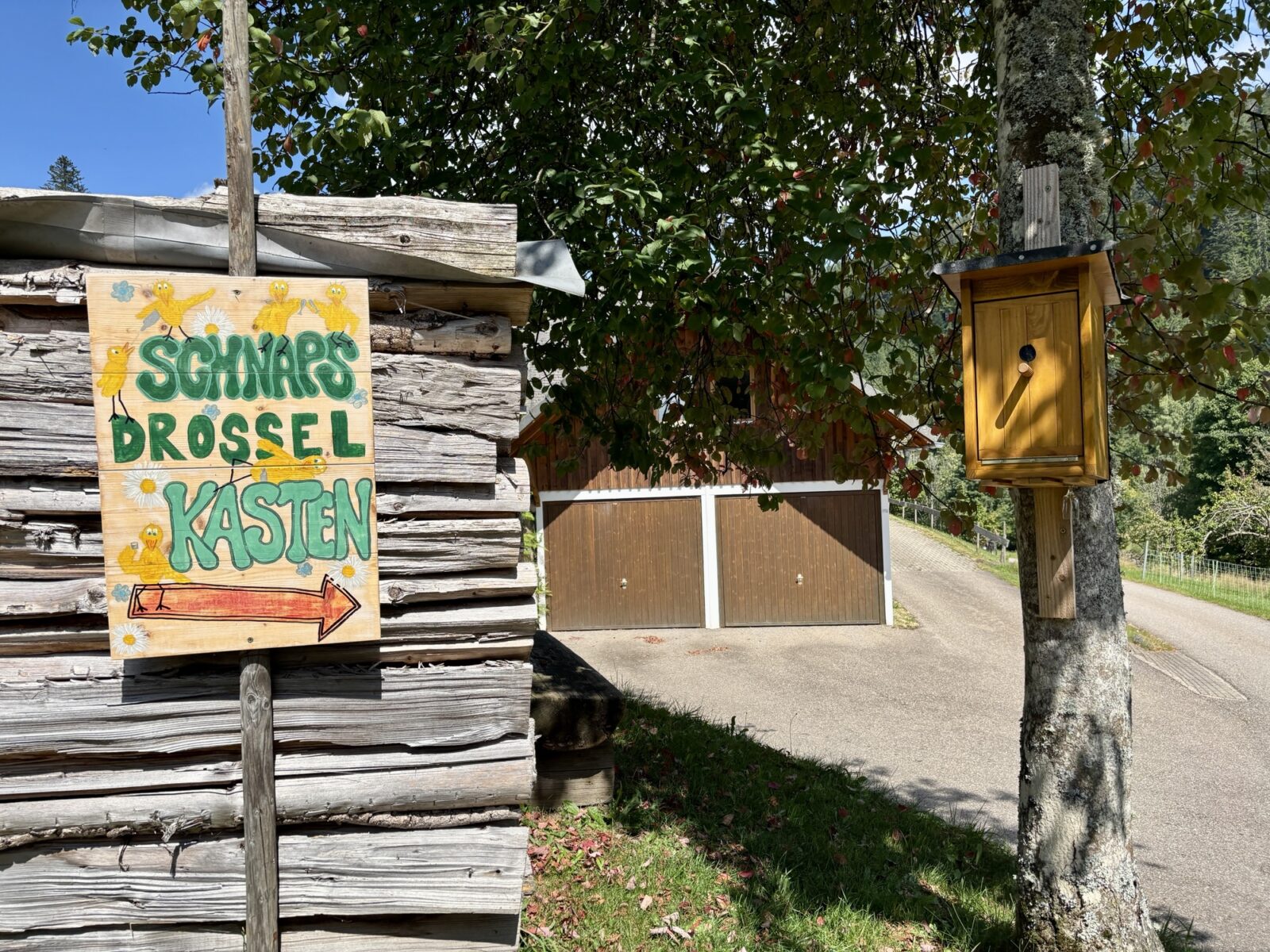 Wandern im Schwarzwald: U(h)rwaldpfad Rohrhardsberg