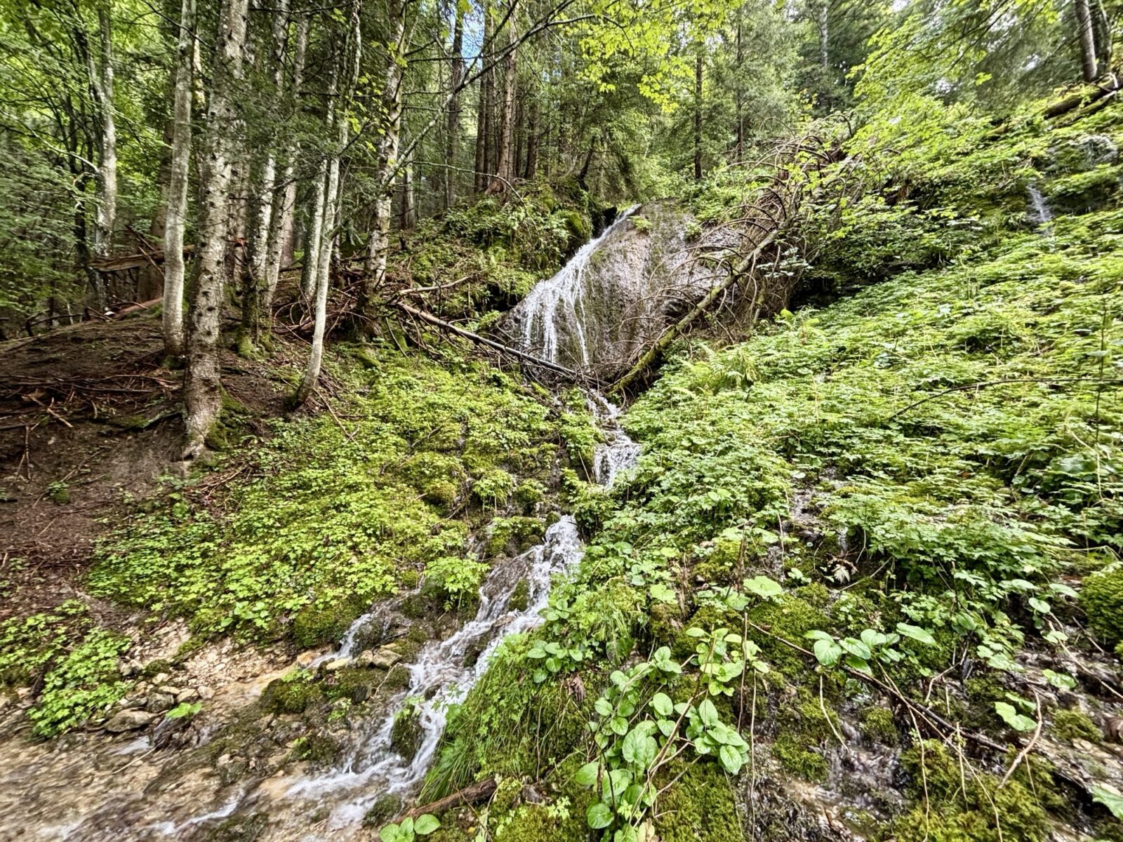Wandern in der Schweiz: Von Eischen über Sollegg nach Wasserschaffen