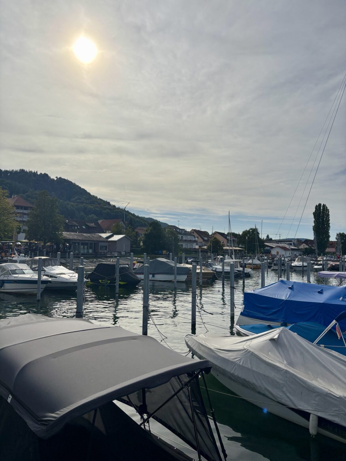 Bus-Abenteuer: Stellplatz in Bodman am Bodensee