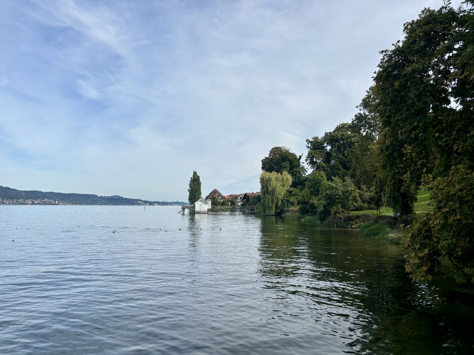 Bus-Abenteuer: Stellplatz in Bodman am Bodensee