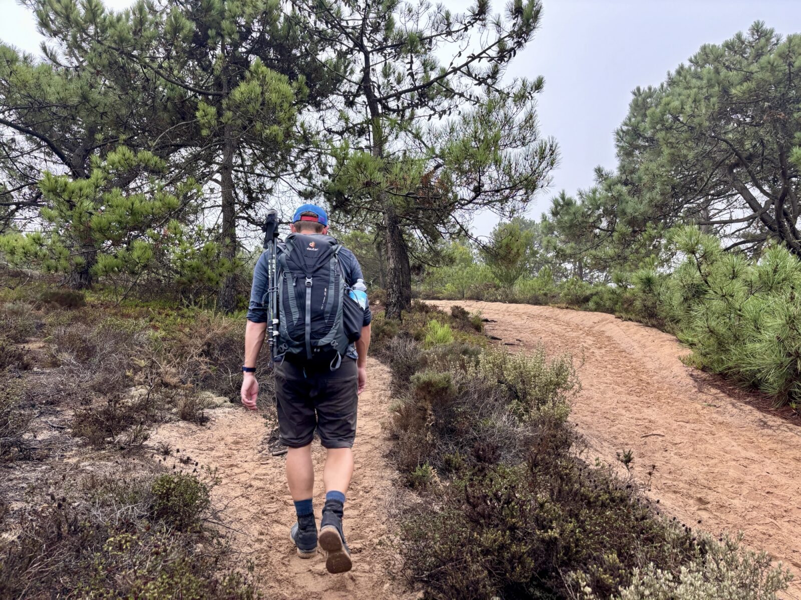 Wandern in Portugal: Fischerweg von Almograve nach Zambujeira do Mar
