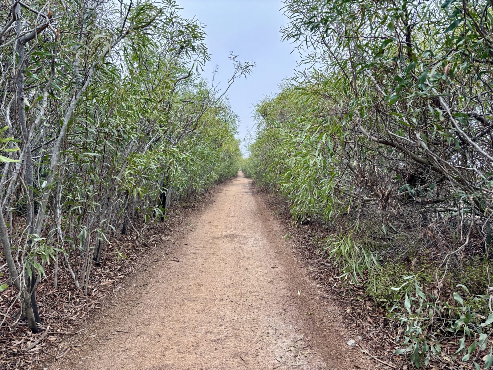Wandern in Portugal: Fischerweg von Almograve nach Zambujeira do Mar