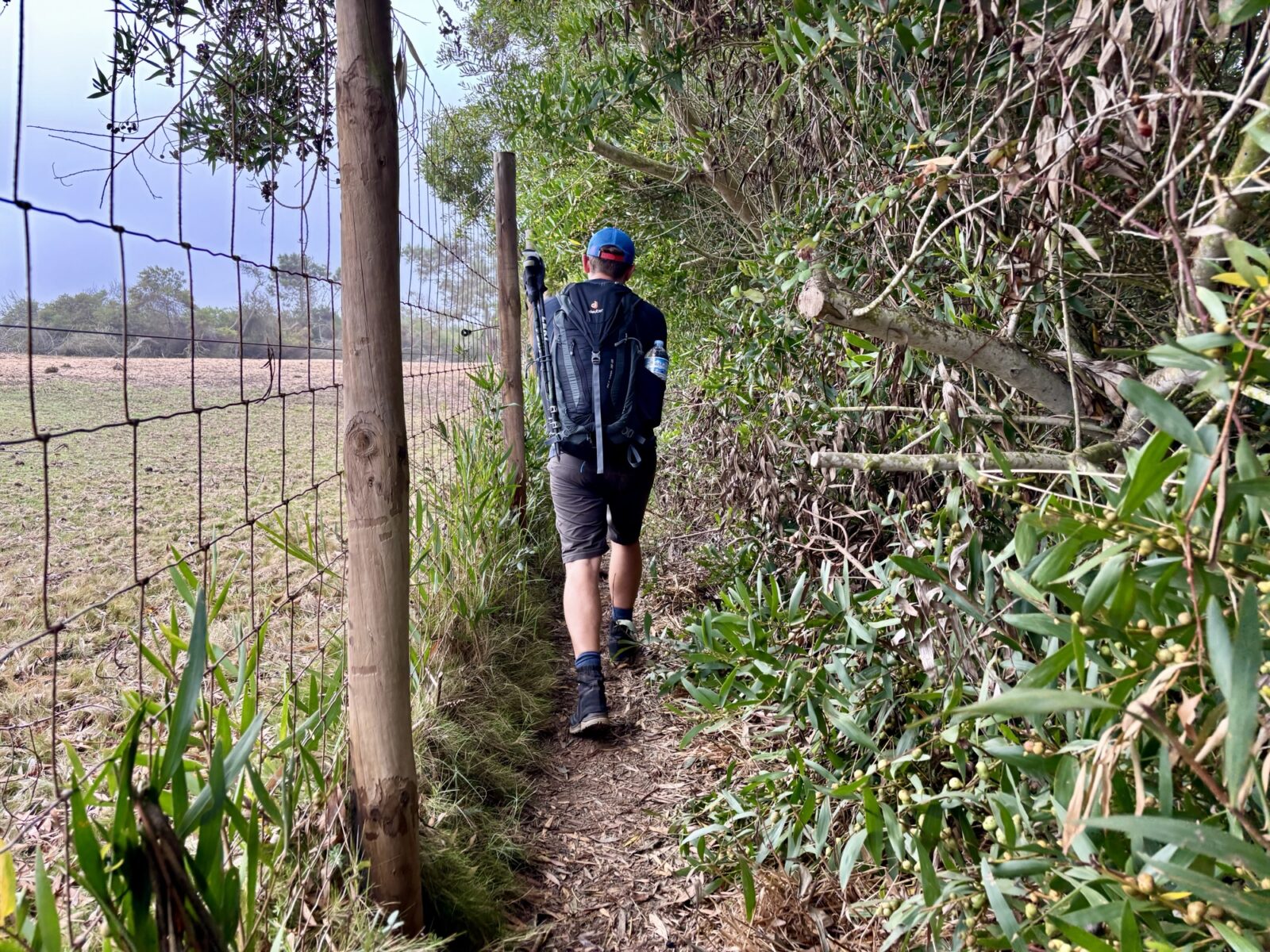 Wandern in Portugal: Fischerweg von Zambujeira do Mar nach Odeceixe