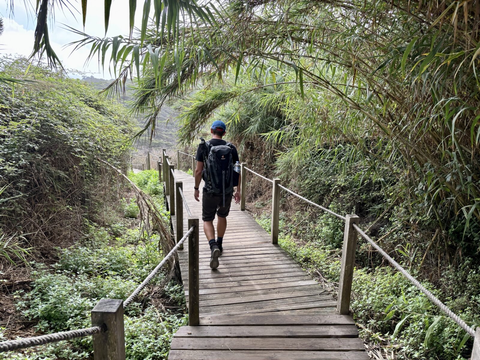 Wandern in Portugal: Fischerweg von Zambujeira do Mar nach Odeceixe
