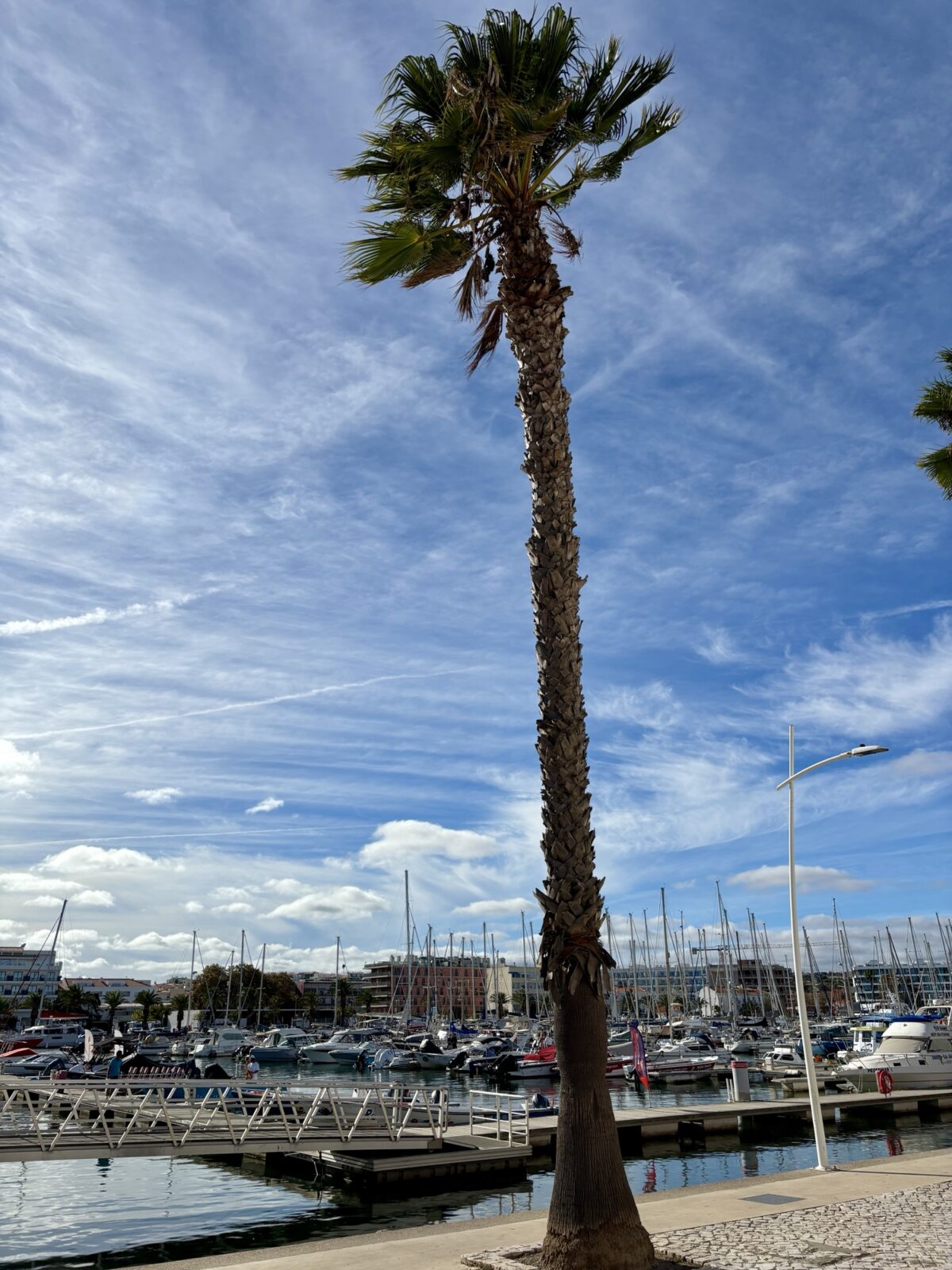 Unterwegs in Portugal: Lagos