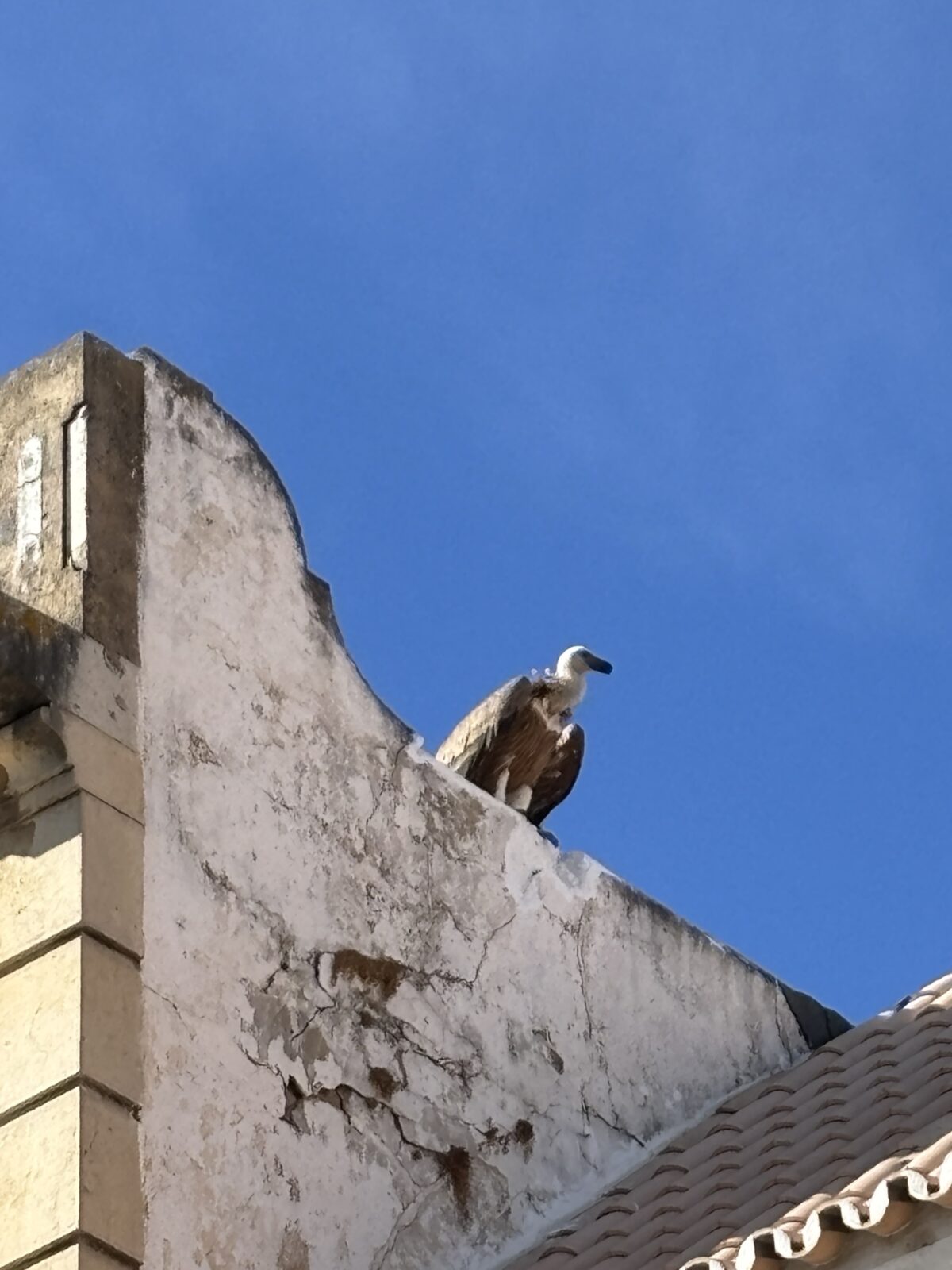Unterwegs in Portugal: Faro