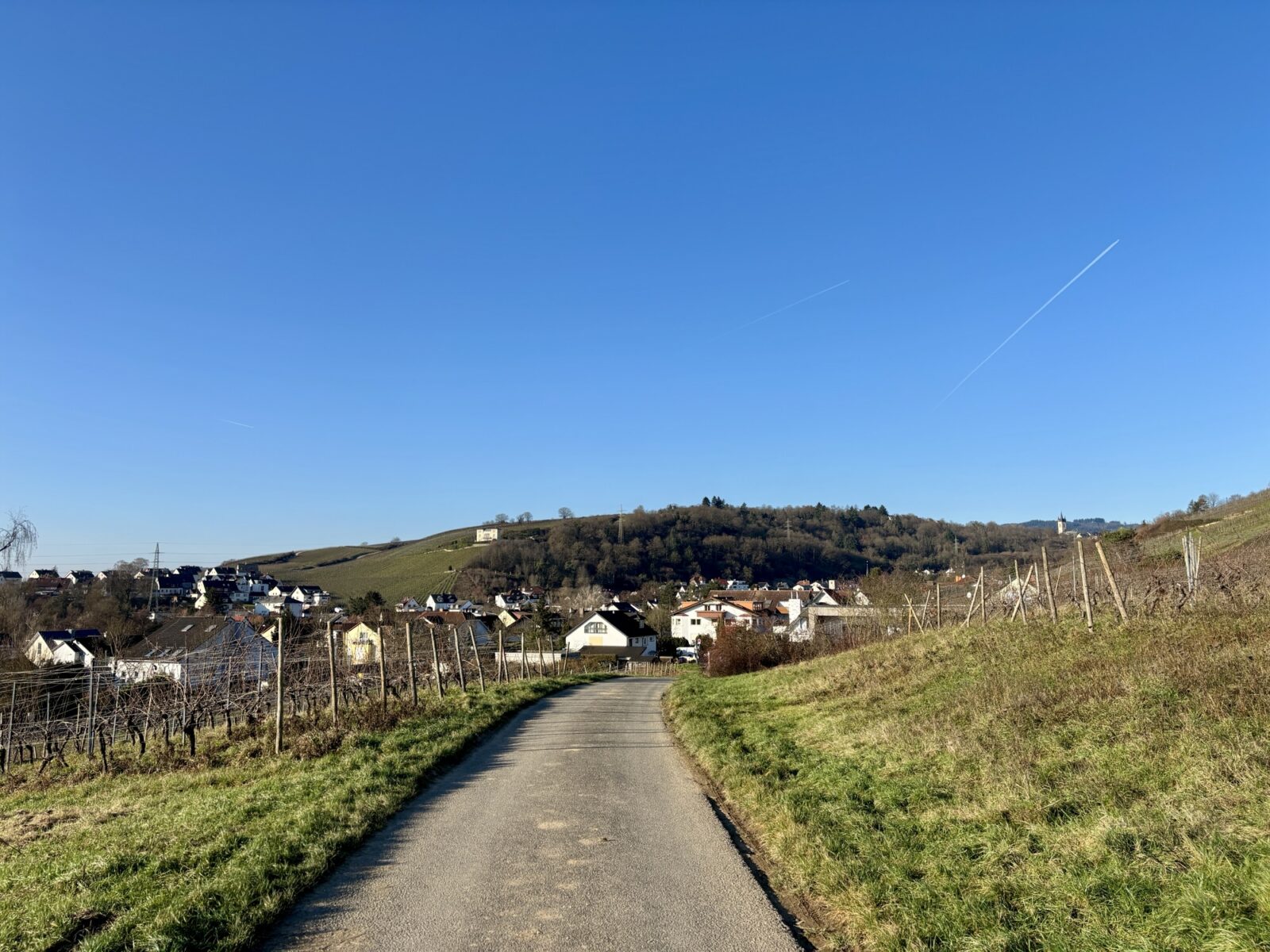 Wandern im Rheingau: Riesling-Schleife bei Martinsthal