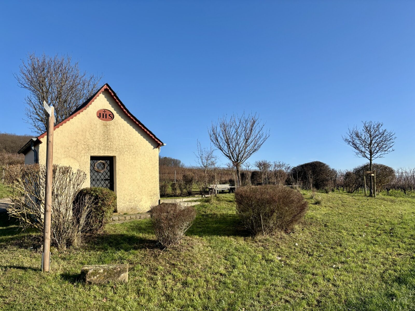 Wandern im Rheingau: Riesling-Schleife bei Martinsthal