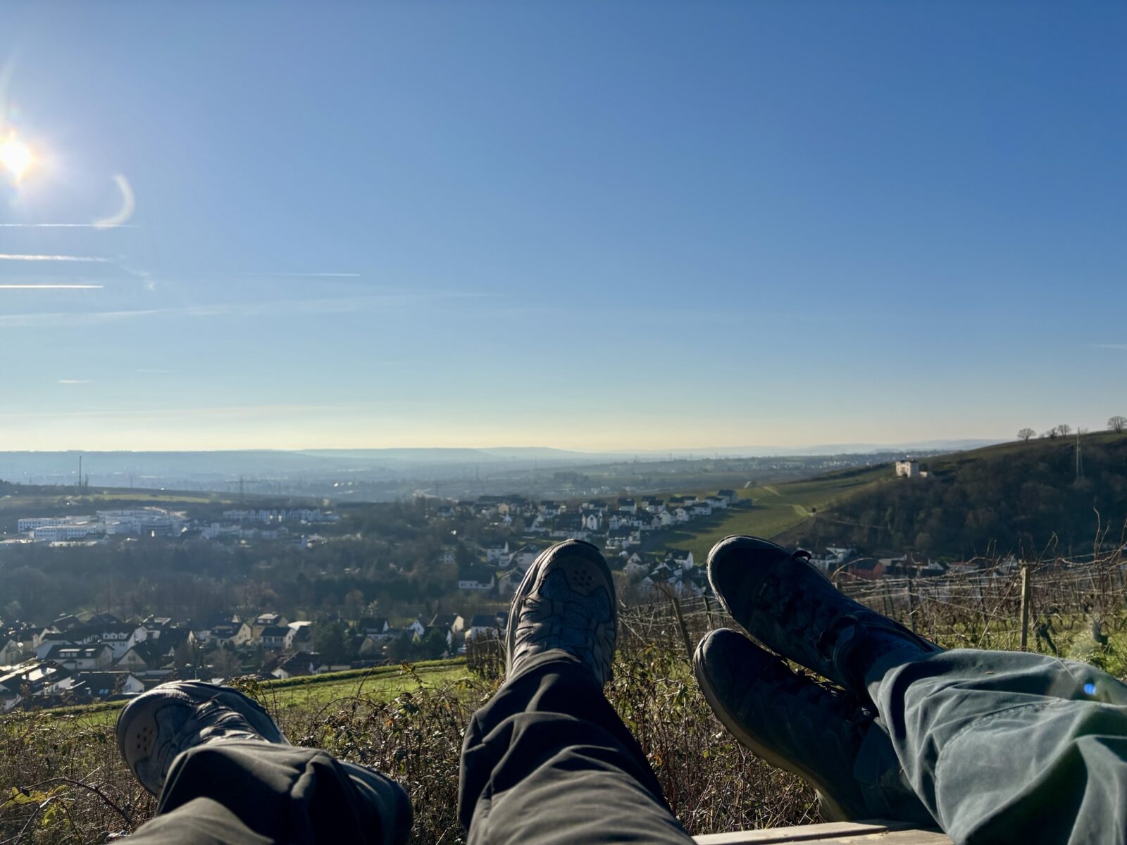 Wandern im Rheingau: Riesling-Schleife bei Martinsthal