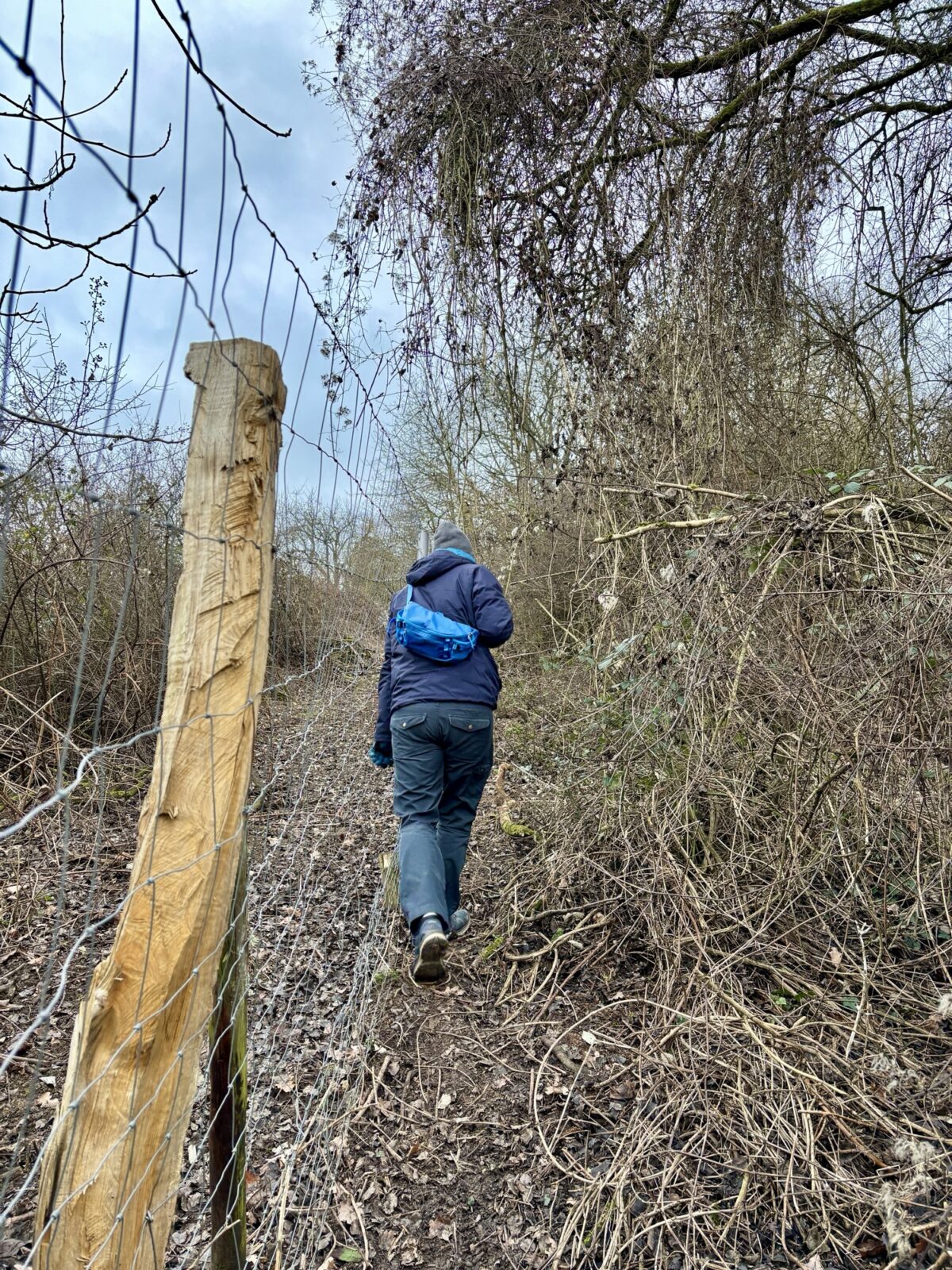 Wandern an der Nahe: Münsterer Kopf bei Weiler