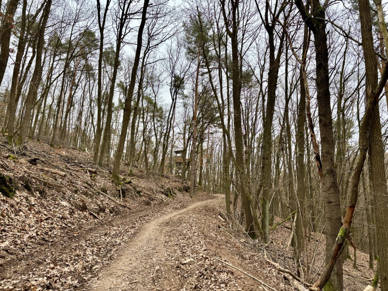 Wandern an der Nahe: Münsterer Kopf bei Weiler