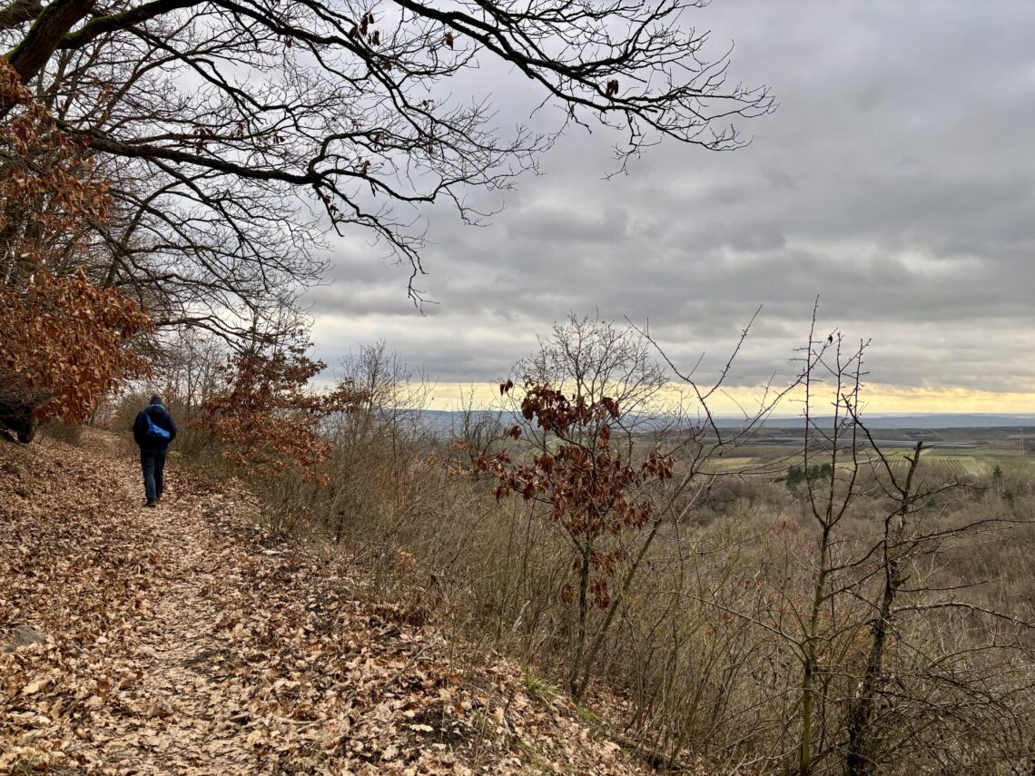 Wandern an der Nahe: Münsterer Kopf bei Weiler