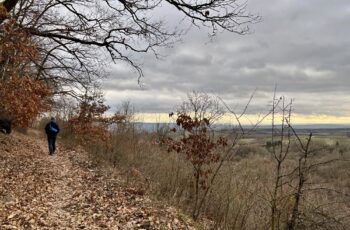 Wandern an der Nahe: Münsterer Kopf bei Weiler