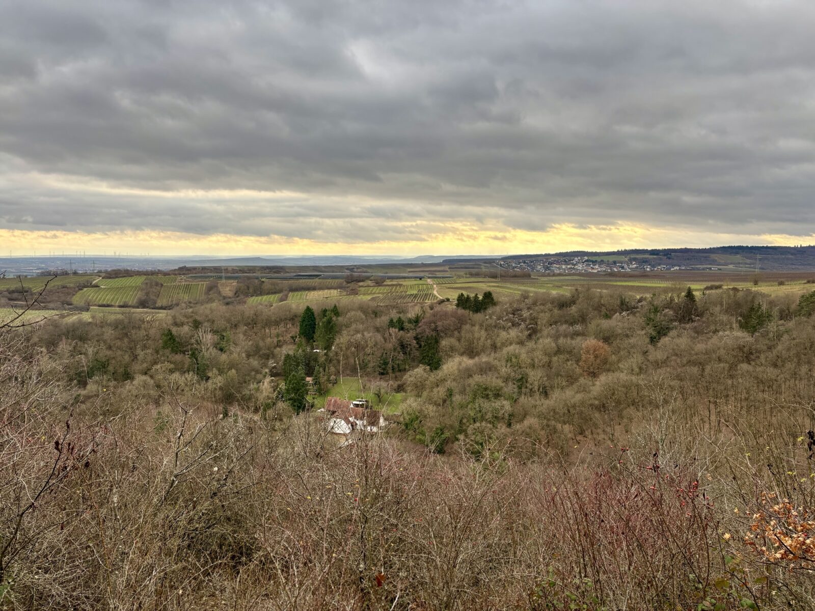 Wandern an der Nahe: Münsterer Kopf bei Weiler