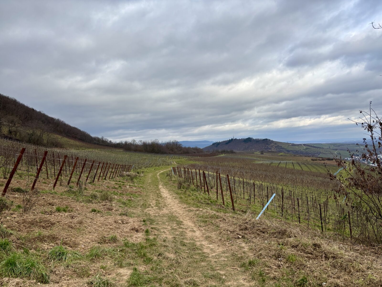 Wandern an der Nahe: Münsterer Kopf bei Weiler