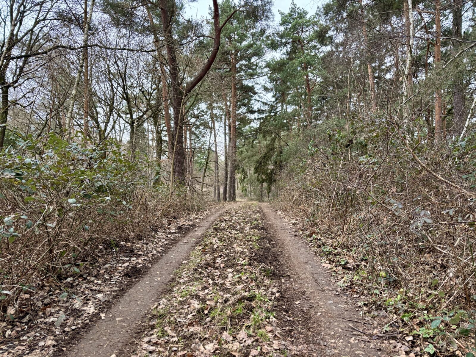 Wandern an der Nahe: Münsterer Kopf bei Weiler