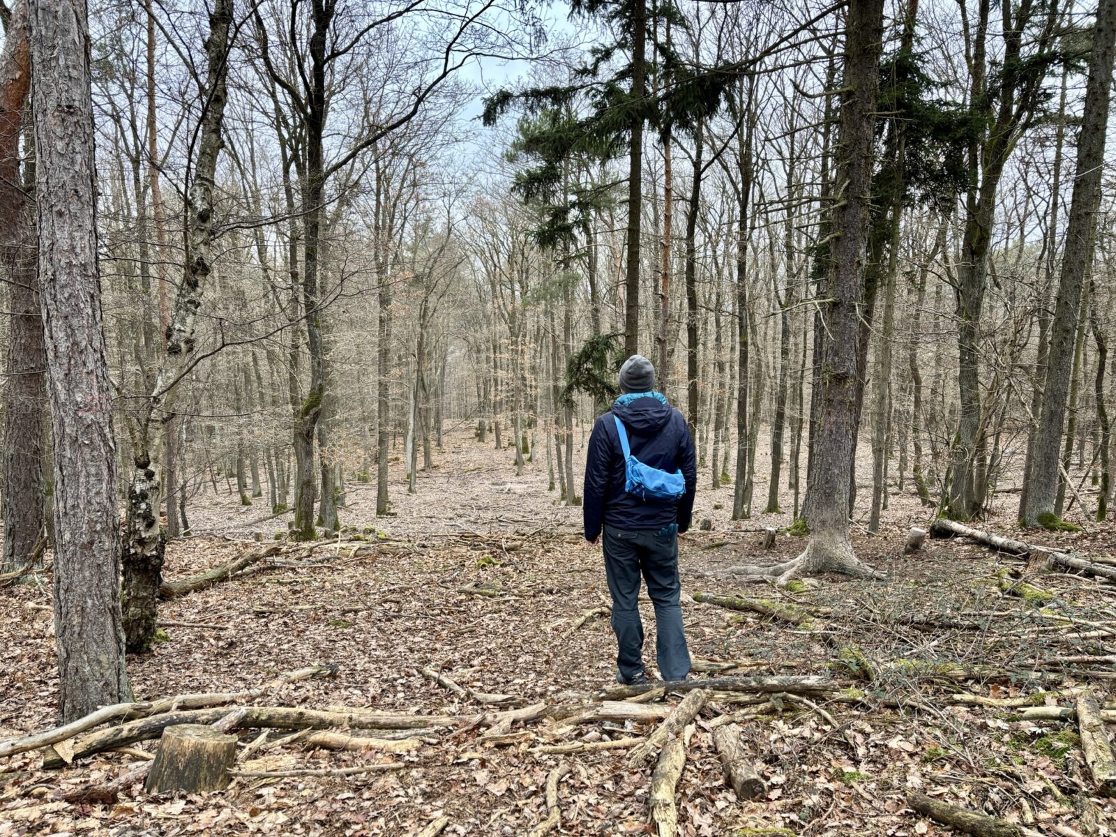 Wandern an der Nahe: Münsterer Kopf bei Weiler