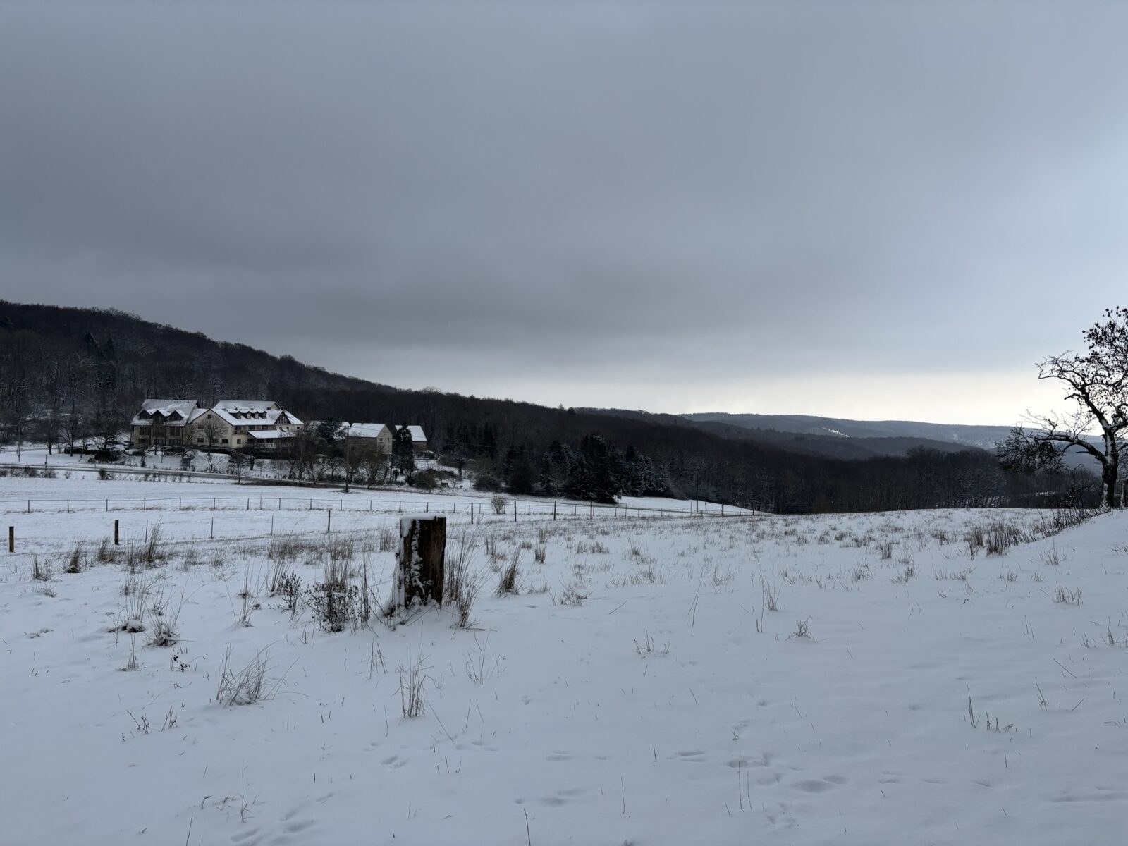 Wandern in der Pfalz: Vom Bastenhaus nach Dannenfels