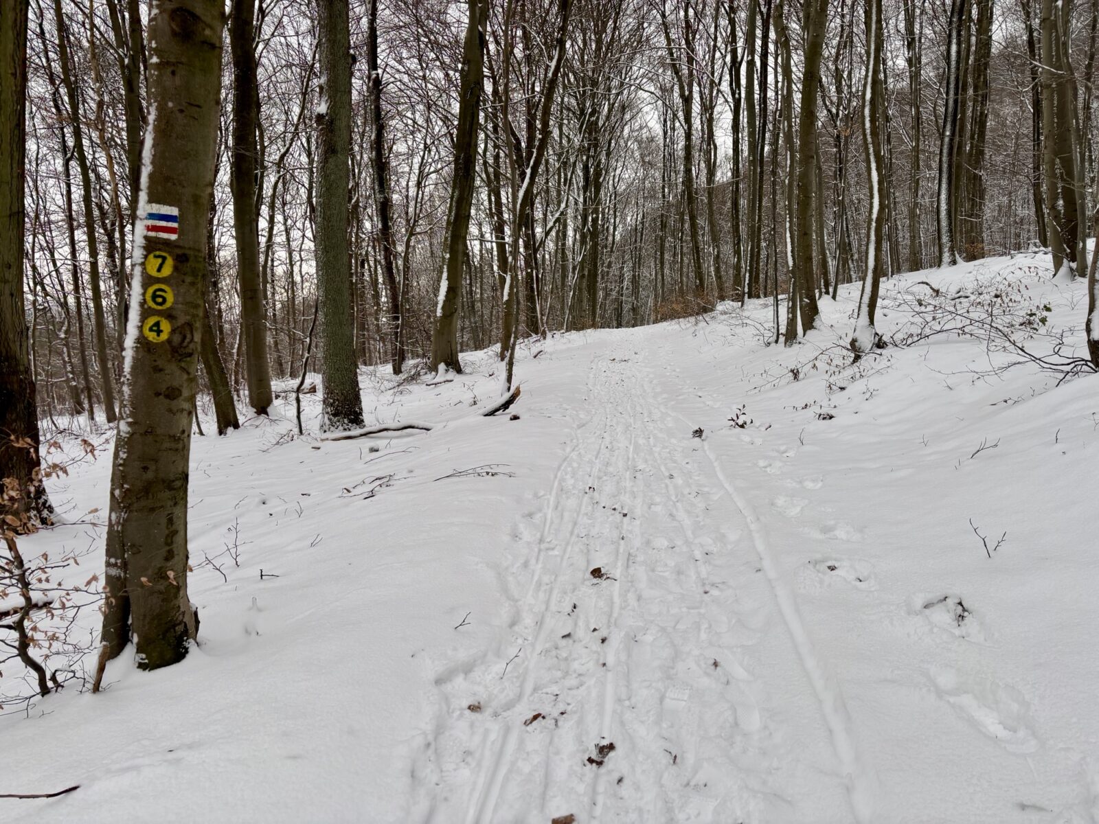 Wandern in der Pfalz: Vom Bastenhaus nach Dannenfels