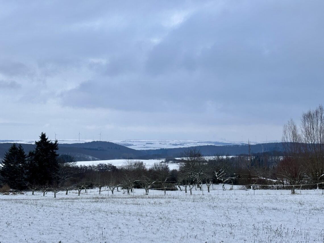 Wandern in der Pfalz: Vom Bastenhaus nach Dannenfels