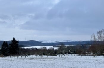 Wandern in der Pfalz: Vom Bastenhaus nach Dannenfels