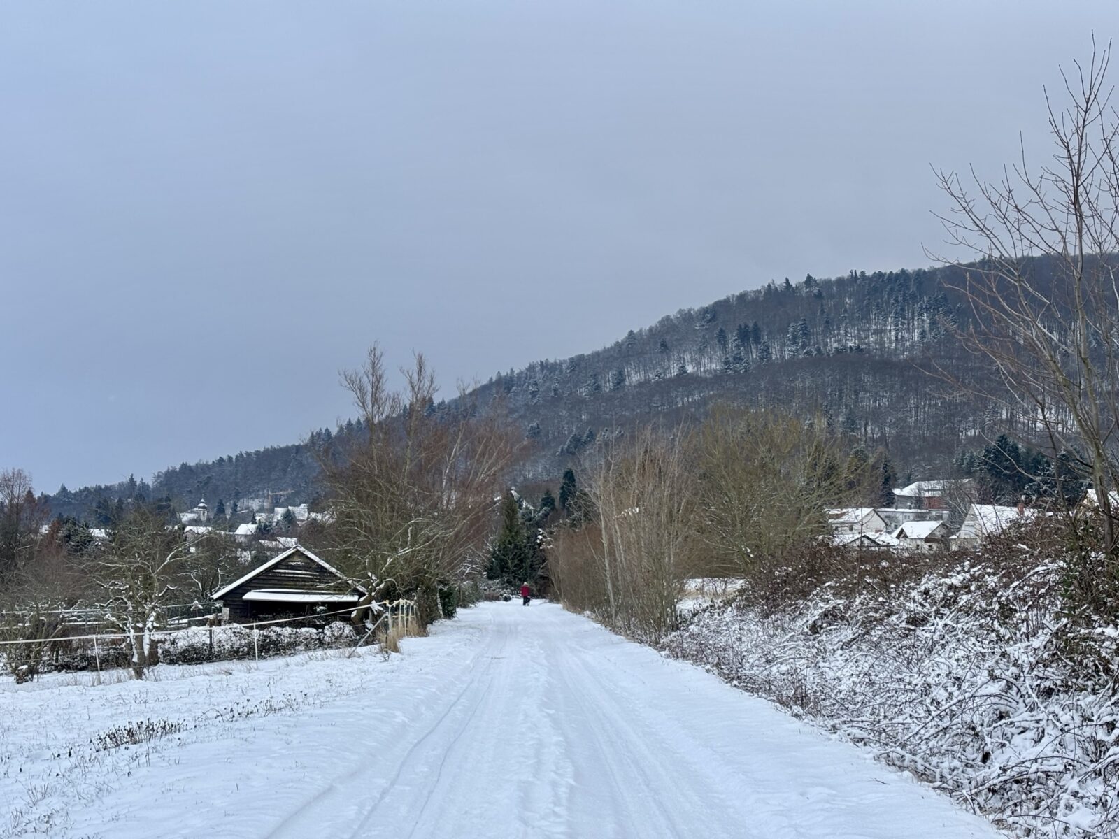 Wandern in der Pfalz: Vom Bastenhaus nach Dannenfels