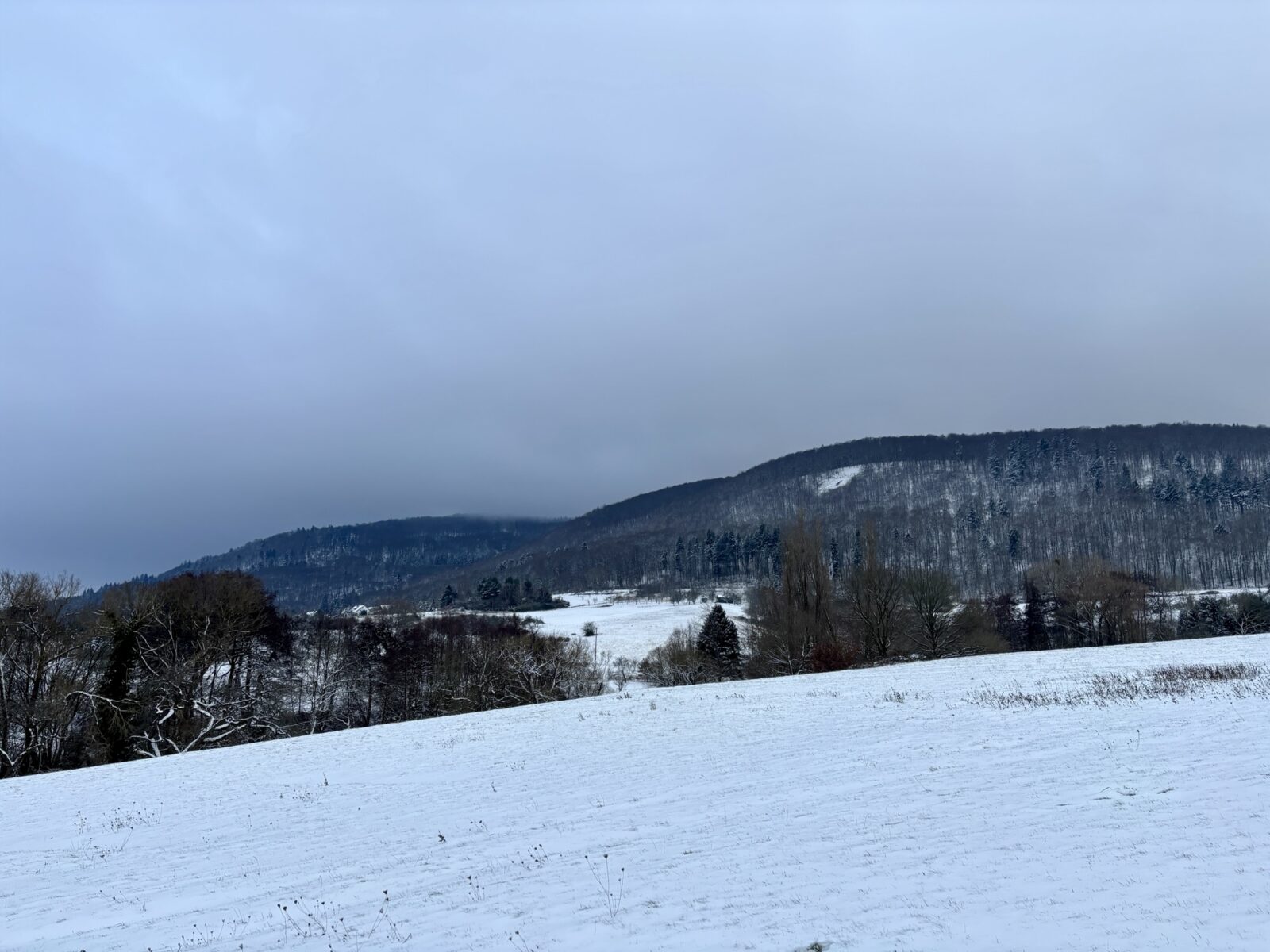 Wandern in der Pfalz: Vom Bastenhaus nach Dannenfels