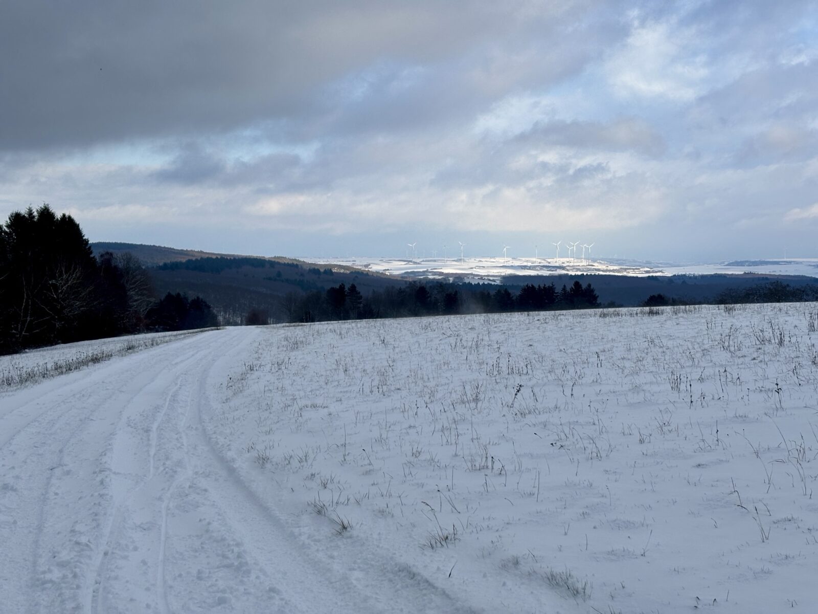 Wandern in der Pfalz: Vom Bastenhaus nach Dannenfels