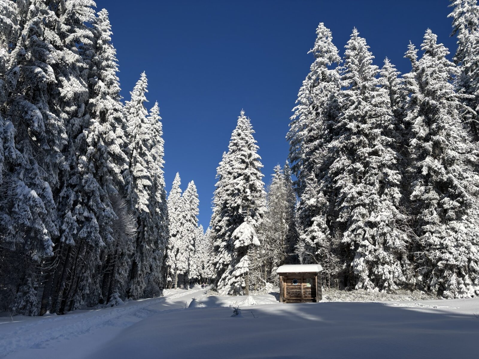 Schneeschuhwandern im Bayrischen Wald: Charmer Hütte und Kleiner Arber