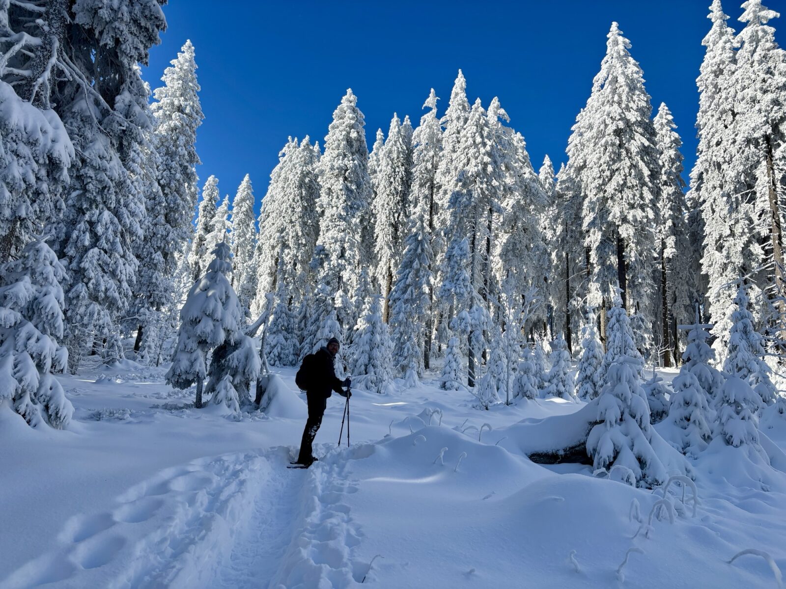 Schneeschuhwandern im Bayrischen Wald: Charmer Hütte und Kleiner Arber