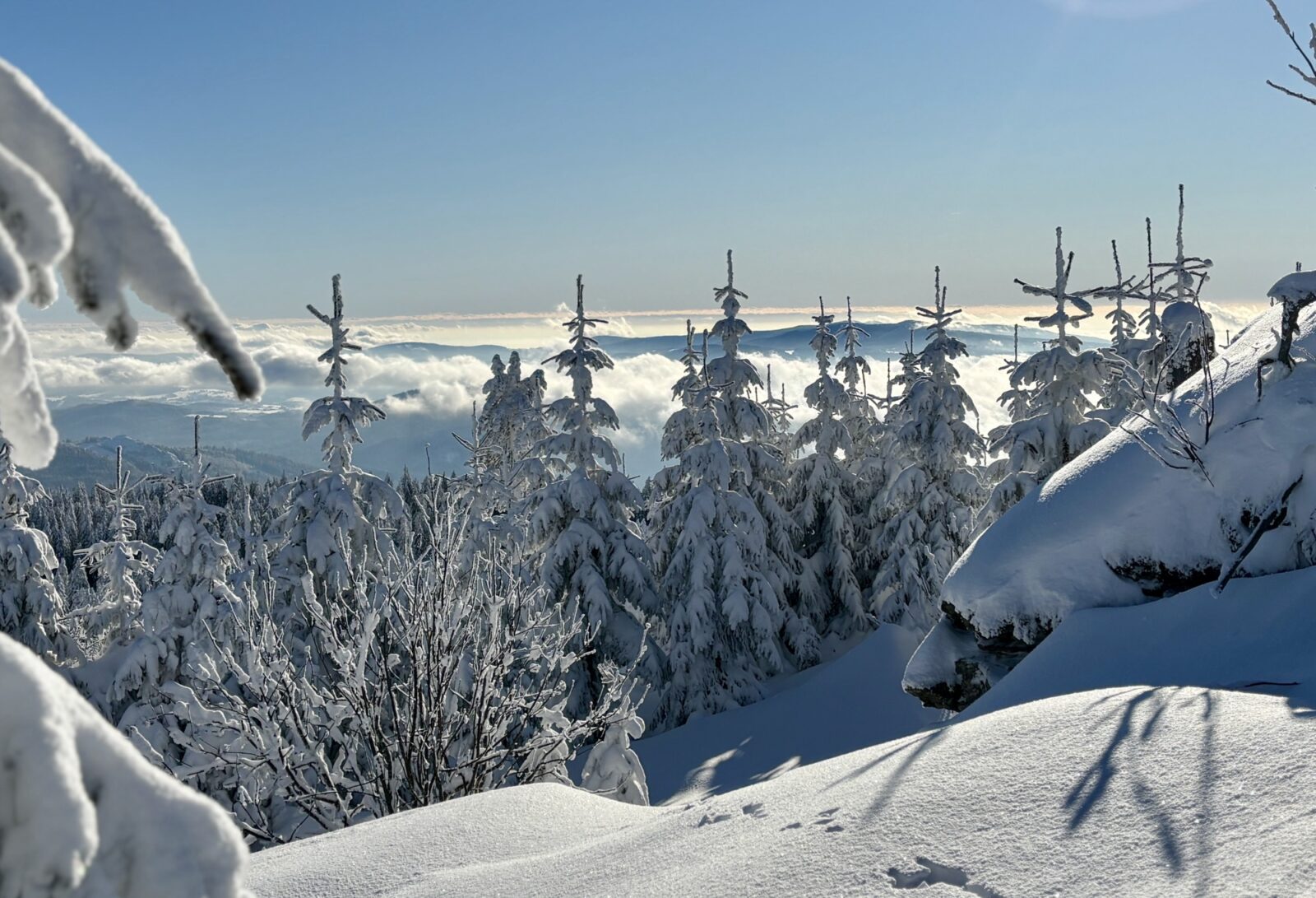 Schneeschuhwandern im Bayrischen Wald: Charmer Hütte und Kleiner Arber