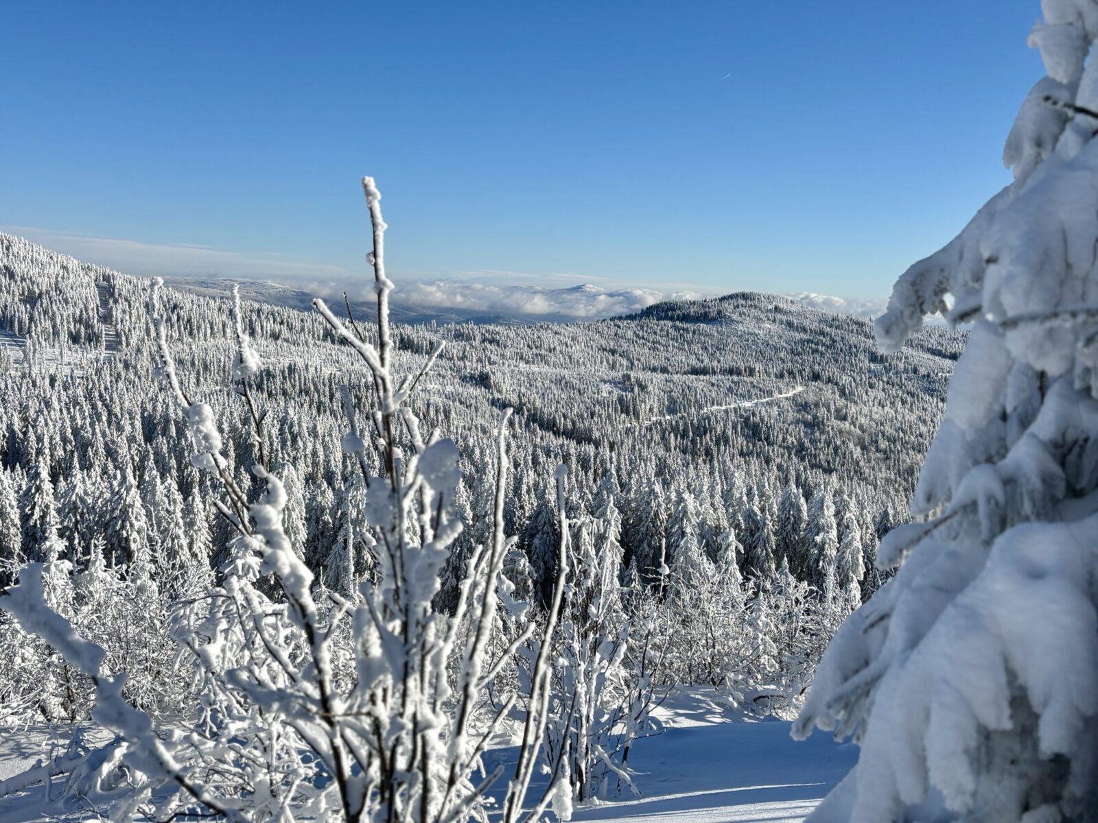 Schneeschuhwandern im Bayrischen Wald: Charmer Hütte und Kleiner Arber